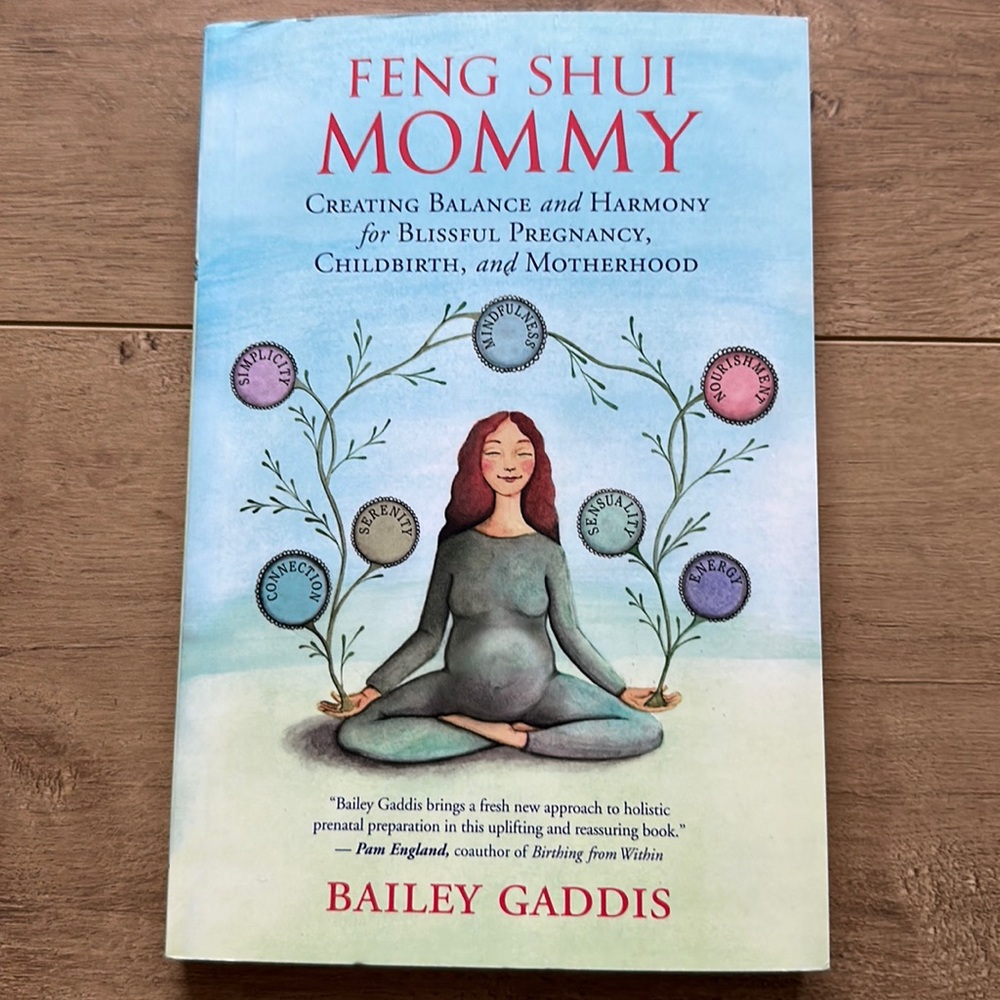 Feng Shui Mommy Book